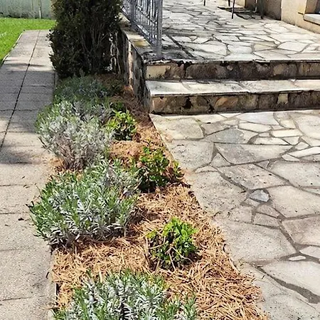 Holiday home Comfortable With Spacious Garden